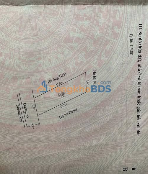 Đất Lô Góc 100m² Mặt Tiền 5.5m Đường 2 Ô Tô Tránh - Bắc Sơn, An Dương