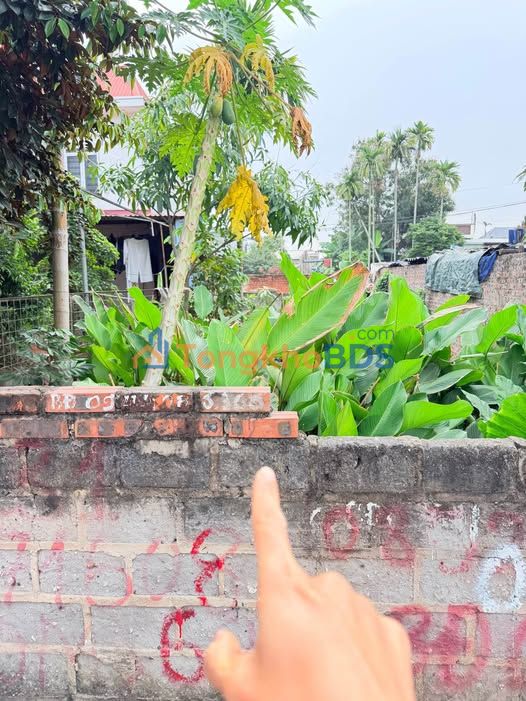 Bán Đất An Dương 80m² - Hai Mặt Ngõ Ô Tô, Giá 1.89 Tỷ