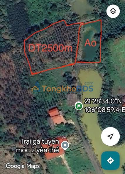 Đất Vườn Yên Thế, Bắc Giang - 2700m² Sổ Đỏ, Giá 1 Tỷ - Tặng Kèm 800m Áo