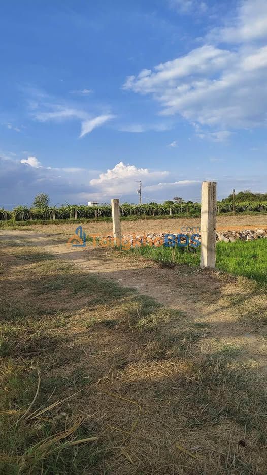 Bán đất cây trồng 960m² góc 2 mặt tiền, Hàm Chính, Bình Thuận - 550 Triệu