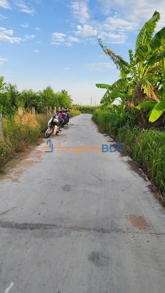 Bán Đất Vườn Keo 4000m² Hàm Liêm - Sổ Hồng Sẵn Sàng