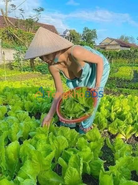 Townhouse Hòa Mạc Duy Tiên 200m2 5 tỷ - Mặt tiền kinh doanh