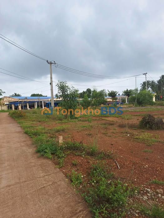 Đất nền Chợ Gò Dưa, Hoài Nhơn 114m² - Sổ đỏ sẵn sàng