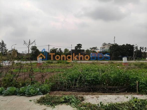 Mặt Tiền Kinh Doanh 80m² Đường Trục Chính Kim Bảng - Giá Đầu Tư 2.4 Tỷ