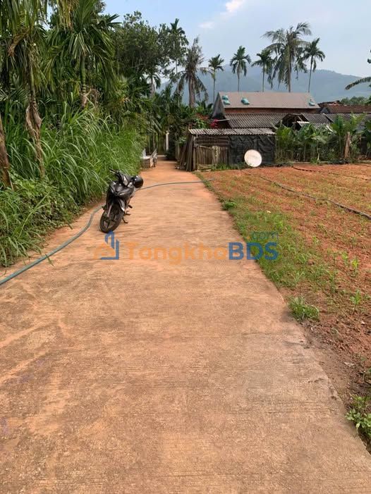 Bán Đất Vườn Mộ Đức 530m² - Sổ Đỏ Thổ Cư Sẵn Sàng