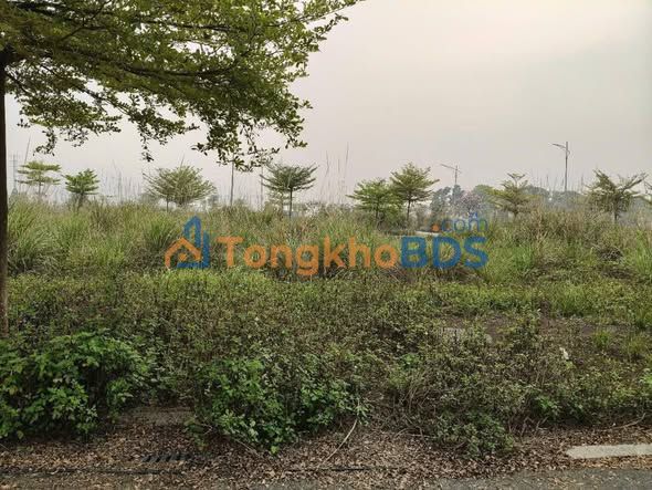 Đất nền Kim Bảng 80m² - Sổ đỏ sẵn sàng, giá chỉ từ 2 tỷ