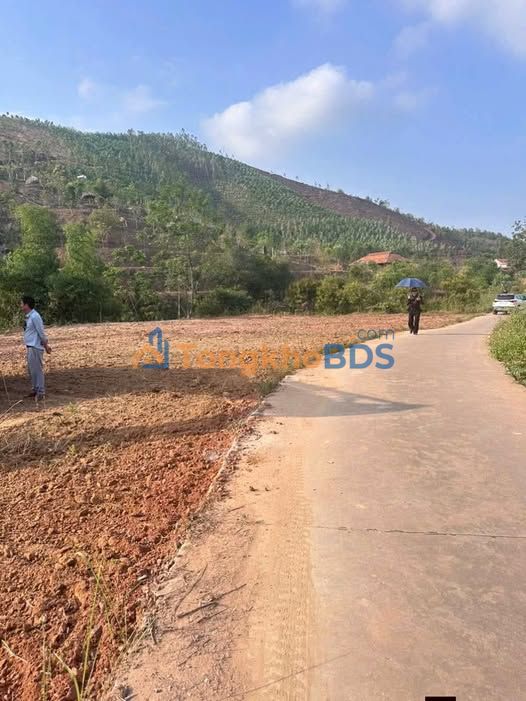 Đất nền Thọ Sơn Lục Nam 269m² 300 triệu - Giá tốt hiếm có