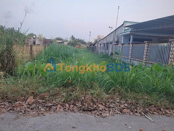 Bán Đất Tân An Hội Củ Chi 432m² - Sổ Hồng Rõ Ràng, Giá 2.25 Tỷ