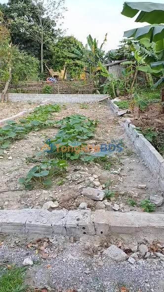 Đất Phủ Lý - Thanh Châu 73m² Ô tô Tận Nơi, Giá Hơn 1 Tỷ