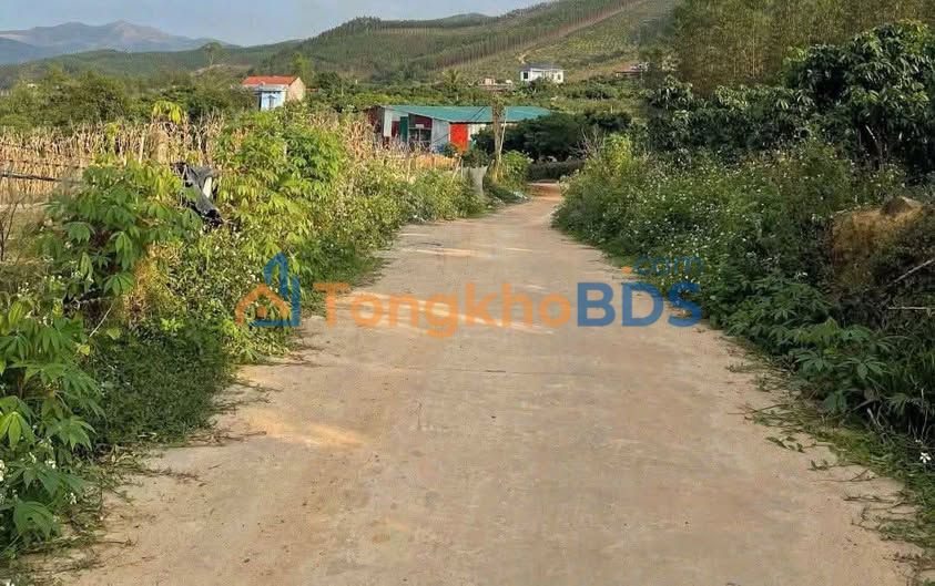 Đất vườn Lục Sơn 678m² 4xx triệu - Sổ đỏ chính chủ