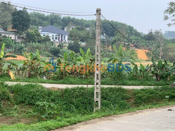 Bán Gấp Đất Vườn Nghỉ Dưỡng 16000m² Trung Môn, Tuyên Quang - Giá Tốt