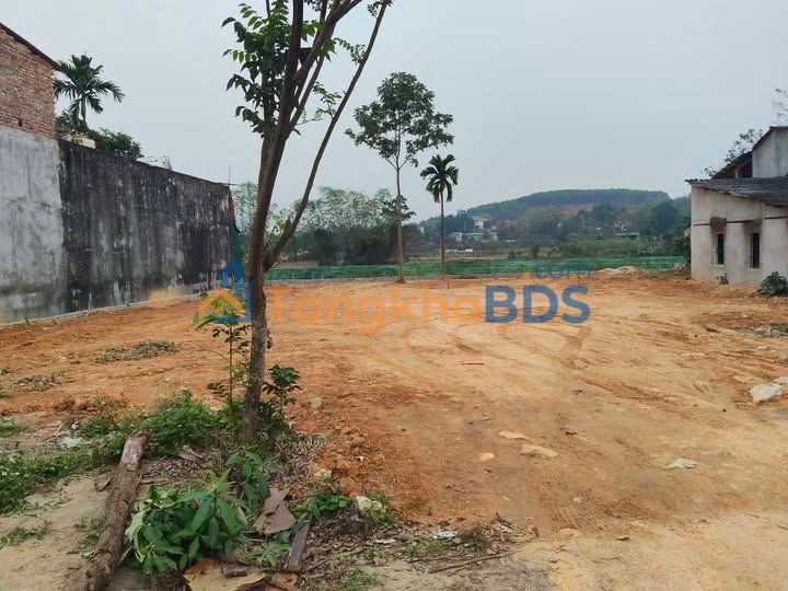 Đất Nền Mặt Đường Phát Triển, Xuân Huy, Yên Sơn - 110m², Sổ Đỏ Rõ Ràng