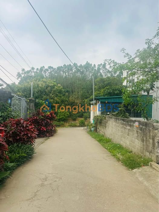 Bán Đất Tuyên Quang 93.2m² - Gần Trung Tâm, Giá 600 Triệu