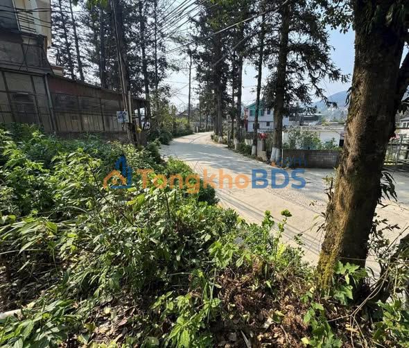Đất Trung Tâm Sa Pa 150m² - Mặt Tiền Nguyễn Chí Thanh - Kinh Doanh Lý Tưởng