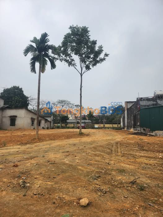 Bán đất chính chủ Yên Sơn, Tuyên Quang - Gần ĐH Tân Trào, Sổ đỏ 110m²