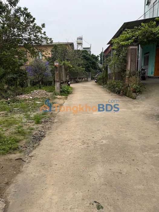 Bán Gấp Đất Nền Thôn 4 Trung Môn, Yên Sơn - 163.3m² Giá 1 Tỷ