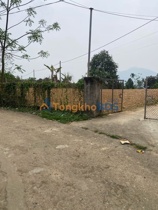 Bán Đất Nền Kim Quan, Yên Sơn 350m² Giá 800 Triệu - Sổ Đỏ Sẵn Sàng