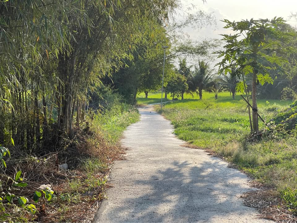 Đất Vườn An Giang 4500m² - Mặt Tiền 71m Đường Tịnh Biên, Giá Đầu Tư