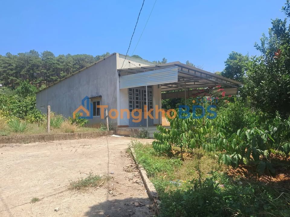 Đất Nền Lâm Hà 1043m² Sổ Đỏ - Sẵn Nhà Cấp 4, Vườn Trái Cây, Gần Trường Học