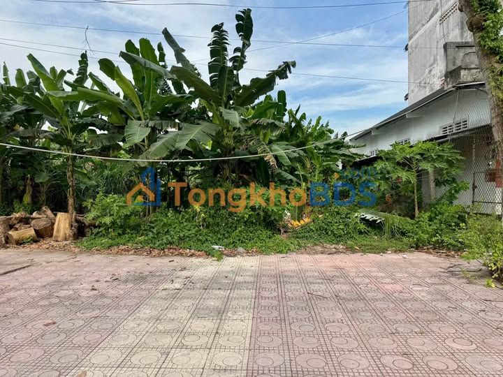 Bán Nền Đất Đường Lê Văn Hoanh, Cao Lãnh - 77.5m² - Full Thổ - Giá Tốt