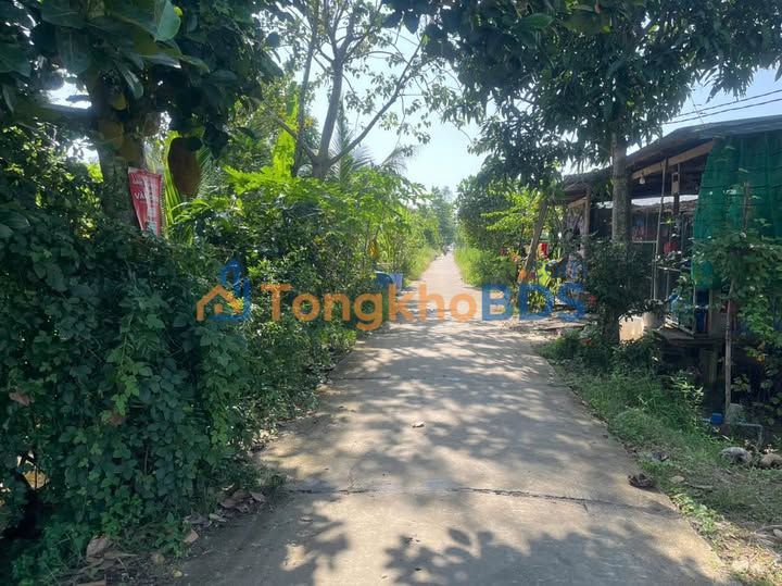 Đất Vườn 6574m² Lấp Vò, Đồng Tháp - Sổ Hồng Sẵn Sàng Đầu Tư