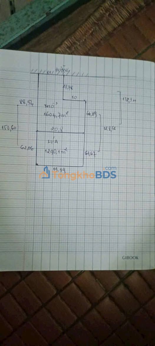 Bán Gấp Đất Vườn Xoài 3000m² Đồng Tháp - Giá Tốt