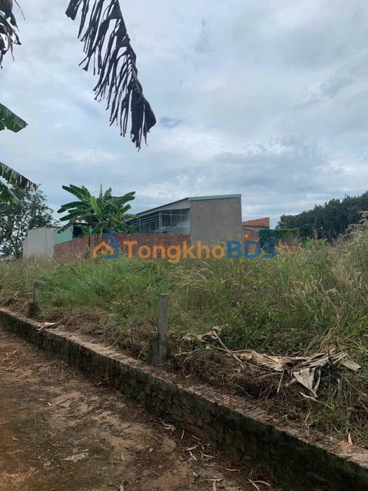 Bán Lỗ Đất Long Tân - Long Đất 132m² Sổ Đỏ, Gần Tỉnh Lộ 52