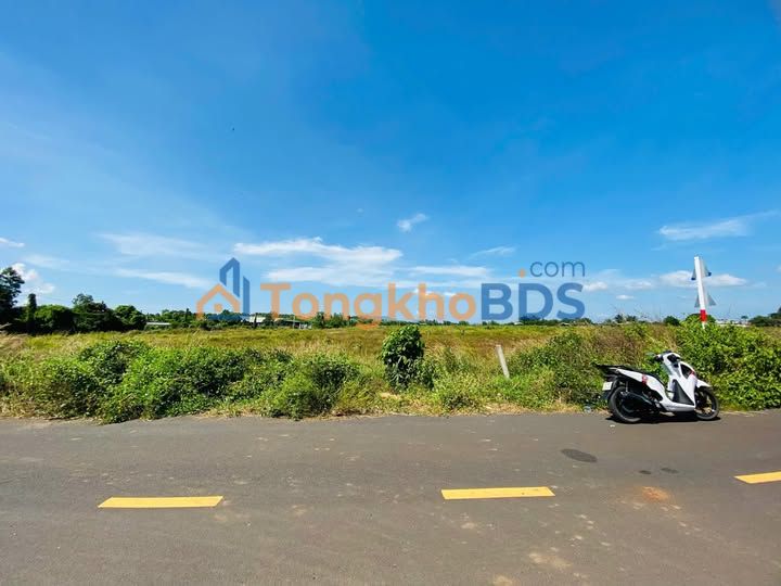 Đất nền 1300m² mặt tiền nhựa lớn, Xã Phước Long Thọ, BR-VT - Giá tốt đầu tư