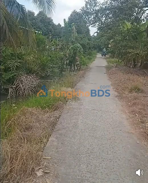 Đất Vườn Tiền Giang 53200m² Mặt Tiền 38m - Tặng Nhà Cấp 4 & Vườn Sầu Riêng