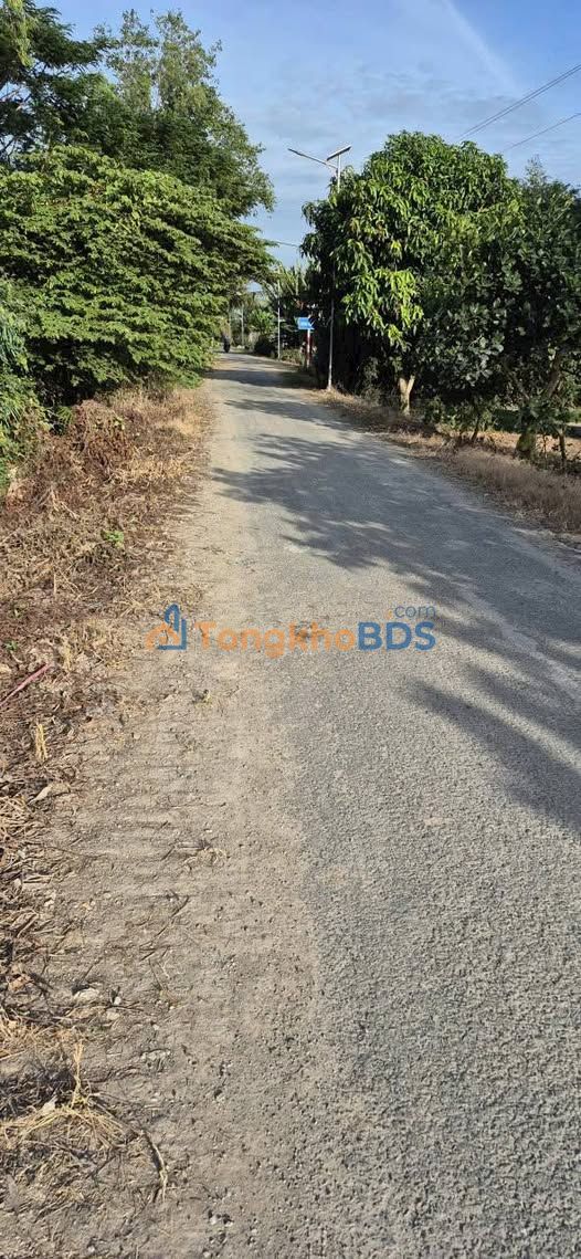 Bán 8 Công Đất Ruộng An Giang - 72000m² Mặt Tiền Kinh Sườn, Giá Tốt