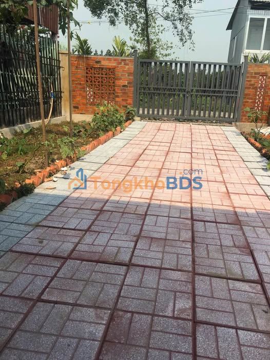 Bán Gấp Khu Nghỉ Dưỡng Mini Đồng Tháp - Sổ Đỏ Riêng 264m²