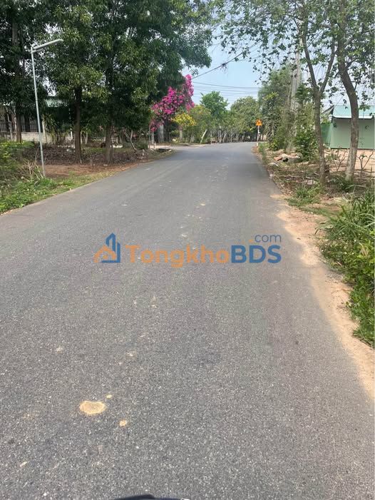 Đất Vàng 15.000m² Mặt Tiền Đường Nhựa Hắc Dịch, BR-VT - Giá Đầu Tư 1.5 Tỷ