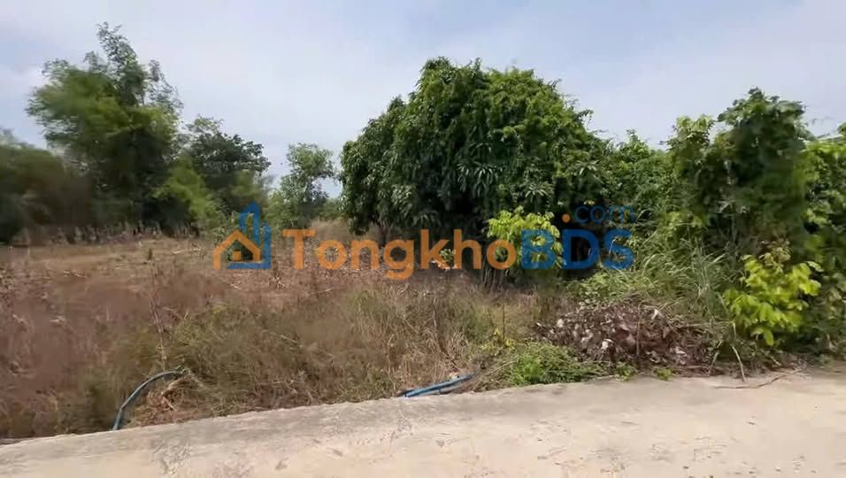 Đất Vườn Láng Dài 1200m² - Sổ Đỏ Riêng, Giá Đầu Tư 2.8 Tỷ