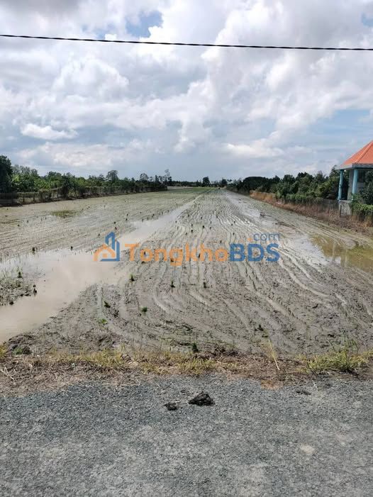 Bán Gấp Đất Vườn 17.500m² Đồng Tháp - Sổ Đỏ Rõ Ràng