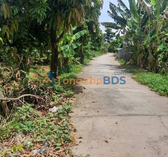 Đất Vườn Xoài Cao Lãnh 2600m² - Cơ Hội Đầu Tư Sinh Lời Cao