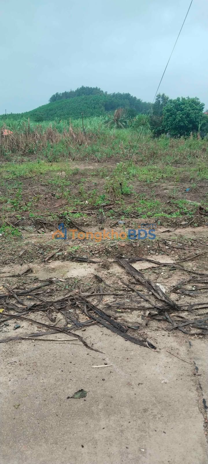 Đất Nền Khánh Vĩnh 441m² - Sổ Đỏ Thổ Cư, Giá Đầu Tư 3.1 Tỷ