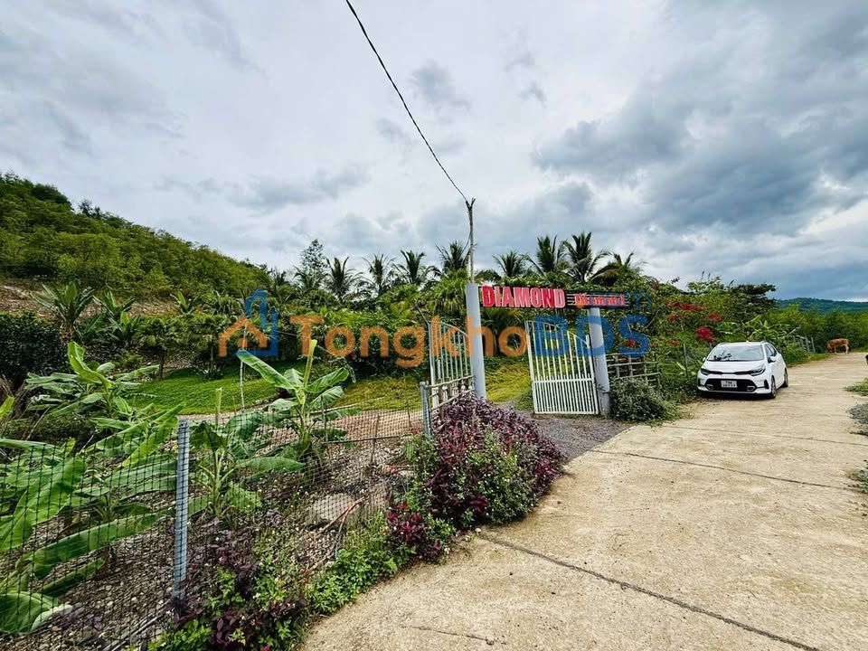 Farm 5000m² Khánh Phú - Giá 27 Tỷ - Đất Thổ Cư, Sẵn Ở