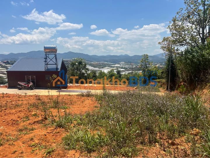 Đất Nền Đa Sar Lạc Dương 88m² - Giá 300 Triệu, View Săn Mây