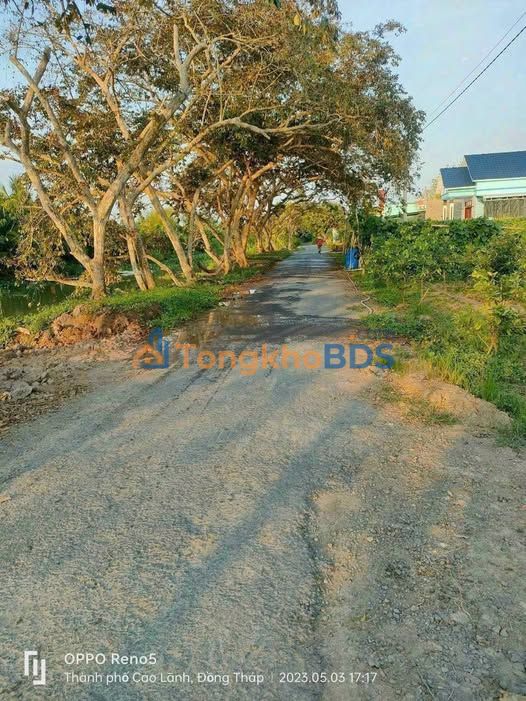 Bán Gấp 2 Nền Đất Vàng Phường Mỹ Ngãi, Cao Lãnh - 162m² Full Thổ Cư