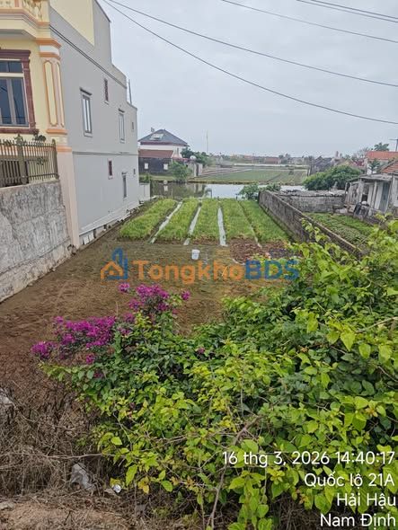 Đất Mặt Tiền QL21A Hải Hậu 213m² - Kinh Doanh/Đầu Tư Sinh Lời