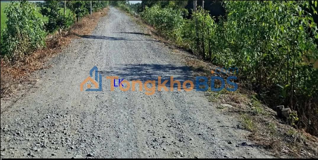 Bán Đất Lúa 32.000m² Tháp Mười - Tiềm Năng Sinh Lời Vượt Trội