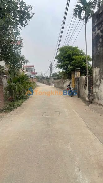 Đất nền góc Trục chính An Lãng - Văn Tự, Thường Tín 88.5m² - Tiềm năng kinh doanh