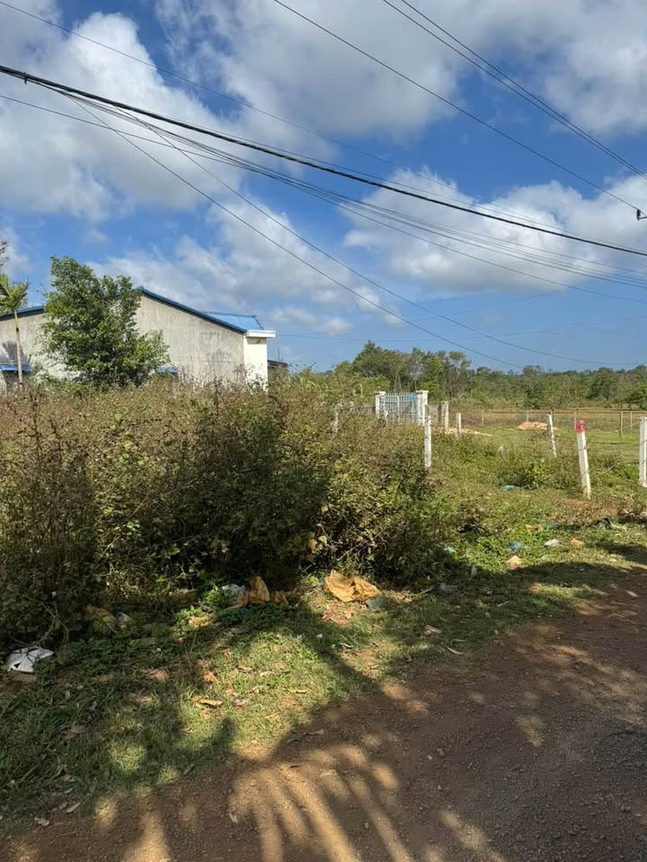 Bán Đất Thổ Cư 100m² Sổ Hồng Riêng Gần Hồ TARA, BMT - Giá 550 Triệu