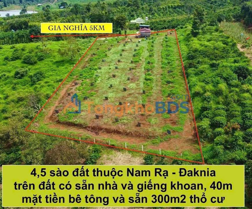 Bán Đất Vườn 4600m² Mặt Tiền Bê Tông 40m, Gia Nghĩa - Tiềm Năng Sinh Lời Cao