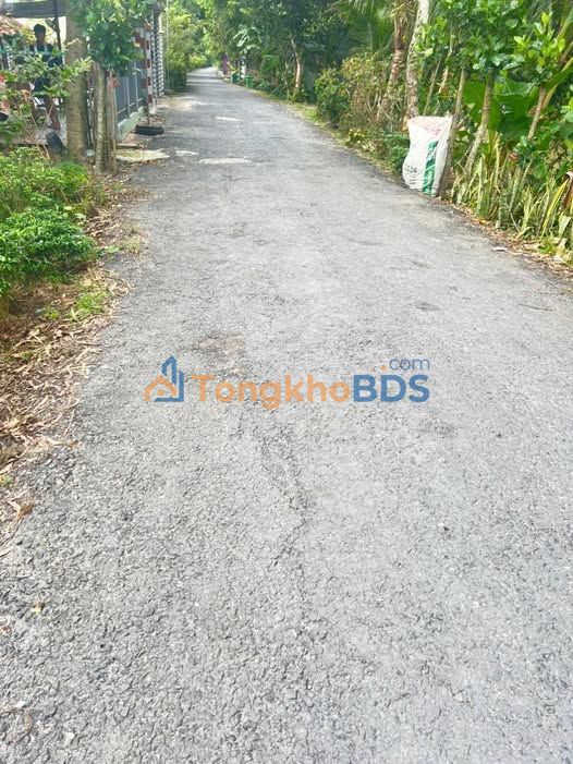 Đất Vườn Mít 5900m² Đồng Tháp - Sổ Đỏ, Giá 2.8 Tỷ