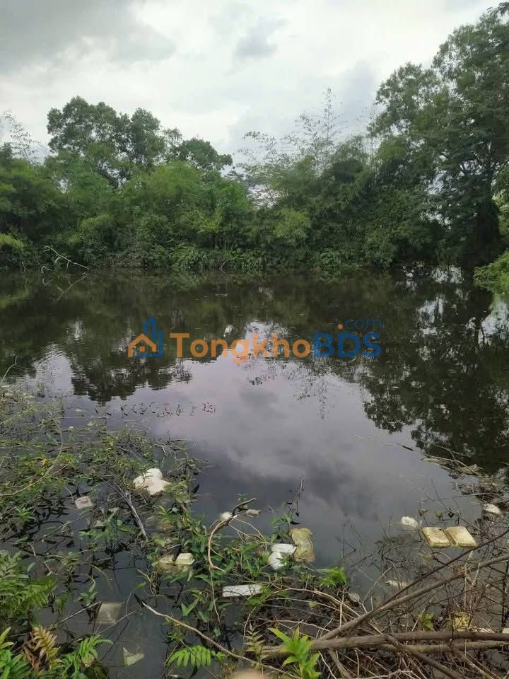 Bán Đất Vườn 1800m² Sóc Trăng - Sổ Hồng Sẵn Sàng