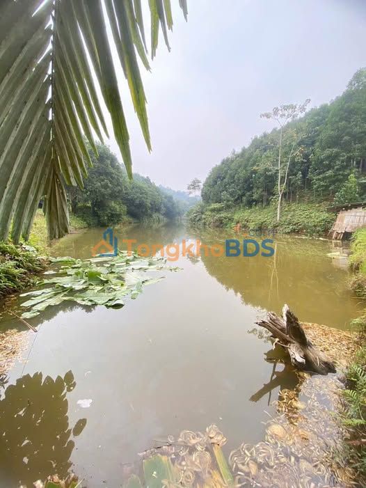 Trang trại Sơn Hà Lào Cai 6ha thương lượng - Sinh thái xanh