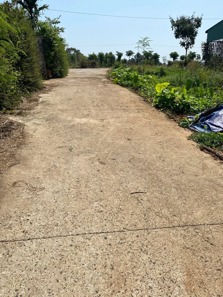 Đất nền Buôn Ma Thuột 200m² (5x40m) - Lộc Phát, Khánh Xuân