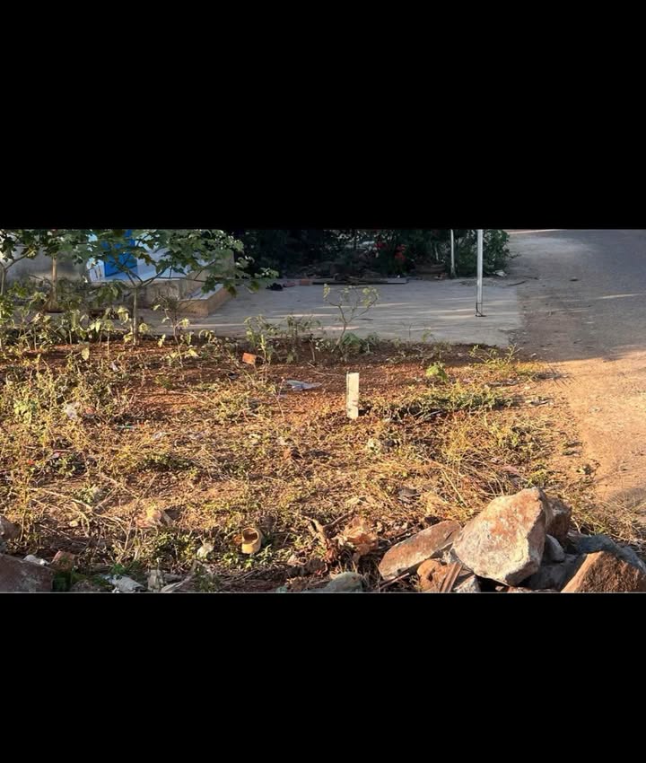 Đất Nền Phan Huy Chú, Buôn Ma Thuột - 100m² Sổ Hồng, Giá 679 Triệu