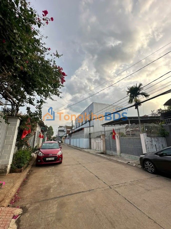 Bán Đất Mặt Tiền Nguyễn Duy Trinh, BMT - 116m² Thổ Cư, Sổ Hồng Sẵn Sàng